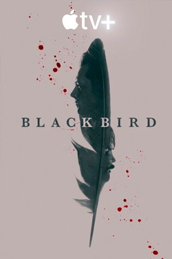 Черная птица 1 сезон